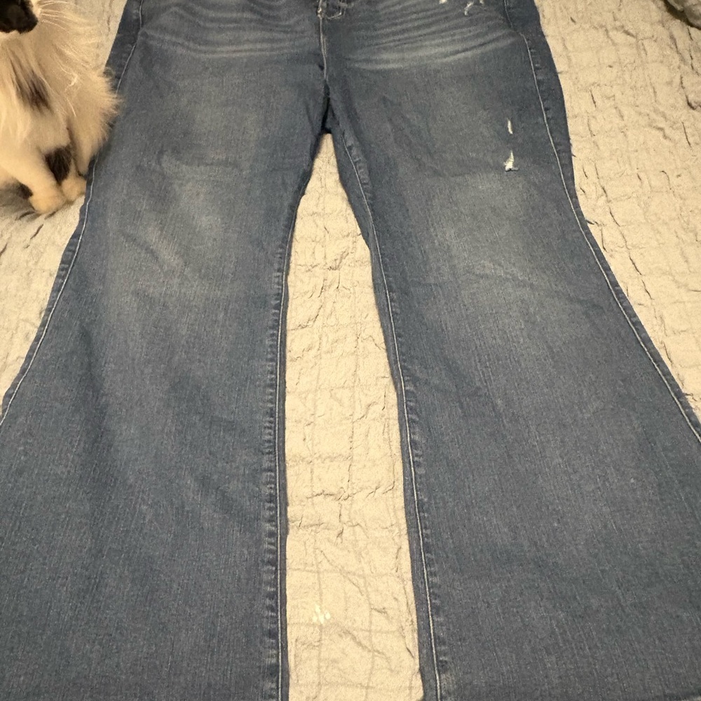 Torrid Blue Flare & Wide Leg Jeans